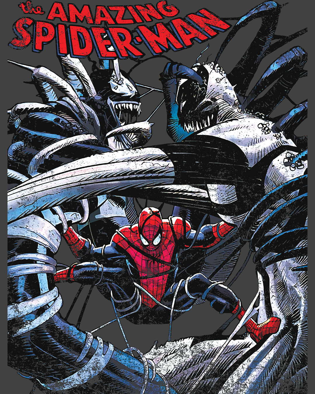 Spider feud